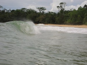 Surfing in Bocas Del Toro